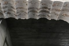 IMG_0006